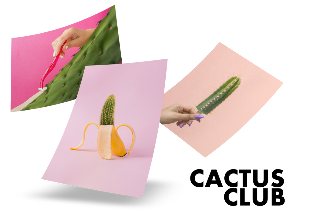Cactus posters