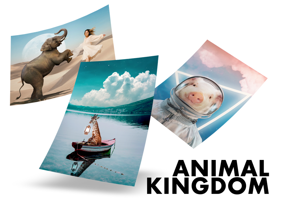 Animal posters